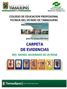 Plantel Cd Victoria172 COLEGIO DE EDUCACION PROFESIONAL TECNICA