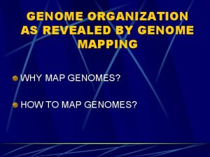 GENOME ORGANIZATION AS REVEALED BY GENOME MAPPING WHY