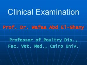 Clinical Examination Prof Dr Wafaa Abd ElGhany Professor