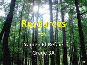 Resources By Yamen ElRefaie Grade 3 A Resources