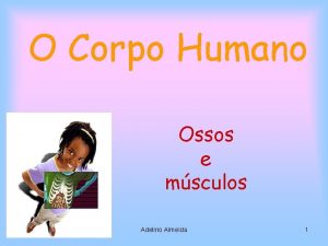 O Corpo Humano Ossos e msculos Adelino Almeida