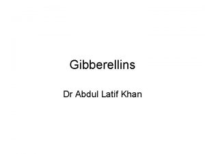 Gibberellins Dr Abdul Latif Khan Gibberellins Regulators of