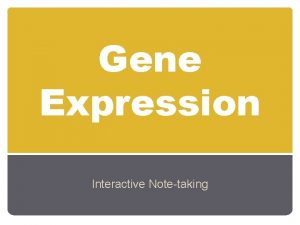 Gene Expression Interactive Notetaking Flow Chart for Protein