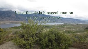 Les effets de la bioacculumation sur les cossytmes