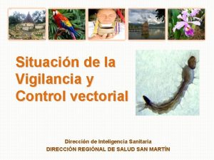 Situacin de la Vigilancia y Control vectorial Direccin