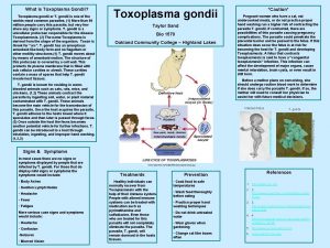 What is Toxoplasma Gondii Toxoplasma gondii or T