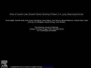 Role of InsulinLike Growth Factor Binding Protein 2