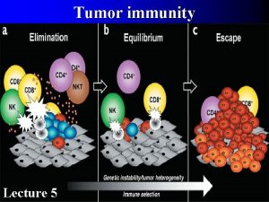 Tumor immunity Lecture 5 Host defense against tumor