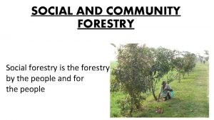 SOCIAL AND COMMUNITY FORESTRY Social forestry is the