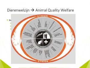 Dierenwelzijn Animal Quality Welfare Hoe beoordeel je dierenwelzijn