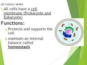 LETS QUICKLY REVIEW 1 All cells have a