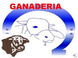 GANADERIA Raza simmental Libido Pubertad Temprana y Fertilidad