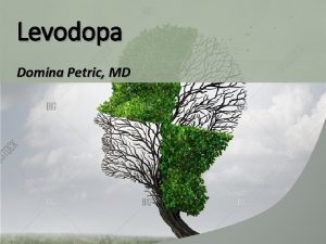 Levodopa Domina Petric MD Introduction Dopamine does not