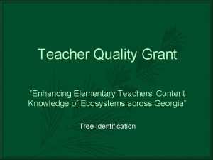Teacher Quality Grant Enhancing Elementary Teachers Content Knowledge