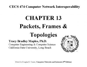 CECS 474 Computer Network Interoperability CHAPTER 13 Packets