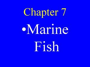 Chapter 7 Marine Fish Phylum Chordata Animals with