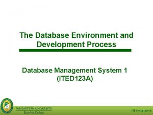 The Database Environment and Development Process Database Management