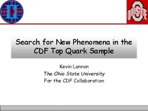 Search for New Phenomena in the CDF Top