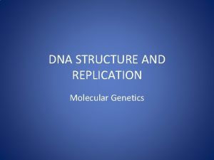 DNA STRUCTURE AND REPLICATION Molecular Genetics DNA Molecule