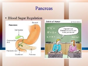 Pancreas Blood Sugar Regulation Pancreas Has both exocrine