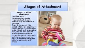 Stages of Attachment Stage 1 Asocial Attachments First