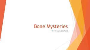 Bone Mysteries By Reese Butterfield Solving mysteries from