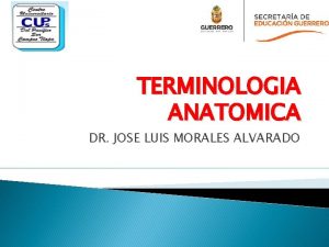 TERMINOLOGIA ANATOMICA DR JOSE LUIS MORALES ALVARADO Para
