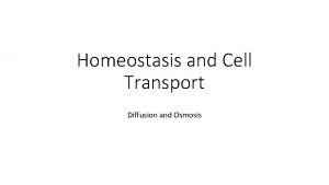 Homeostasis and Cell Transport Diffusion and Osmosis Passive