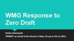 WMG Response to Zero Draft Nebila Abdulmelik FEMNET