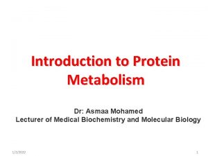 Introduction to Protein Metabolism Dr Asmaa Mohamed Lecturer