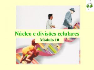 Ncleo e divises celulares Mdulo 10 Ncleo nmero