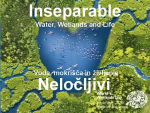 Inseparable Water Wetlands and Life Voda mokria in