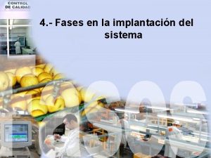 4 Fases en la implantacin del sistema implantacin