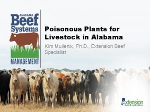 Poisonous Plants for Livestock in Alabama Kim Mullenix