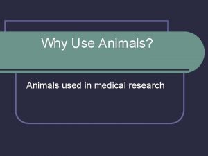 Why Use Animals Animals used in medical research