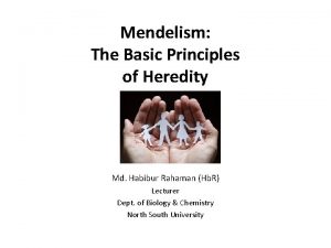 Mendelism The Basic Principles of Heredity Md Habibur