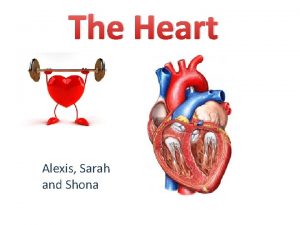 The Heart Alexis Sarah and Shona The heart