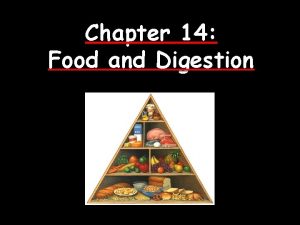 Chapter 14 Food and Digestion Why You Need