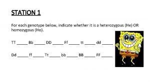 STATION 1 For each genotype below indicate whether