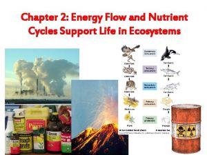 Chapter 2 Energy Flow and Nutrient Cycles Support