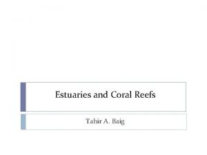 Estuaries and Coral Reefs Tahir A Baig Estuary