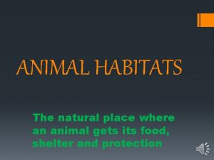 ANIMAL HABITATS The natural place where an animal