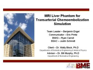 MRI Liver Phantom for Transarterial Chemoembolization Simulation Team