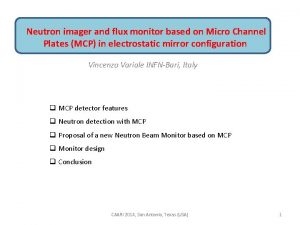 Neutron imager and flux monitor based on Micro