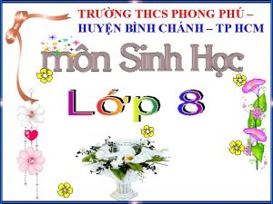 TRNG THCS PHONG PH HUYN BNH CHNH TP