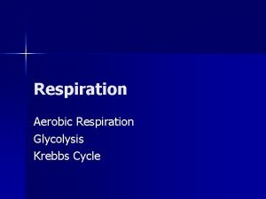 Respiration Aerobic Respiration Glycolysis Krebbs Cycle Over view