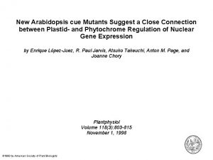 New Arabidopsis cue Mutants Suggest a Close Connection