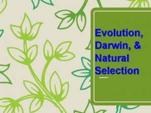 Evolution Darwin Natural Selection Evolution The processes that