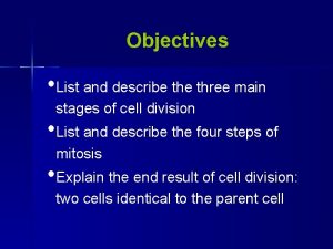 Objectives List and describe three main stages of