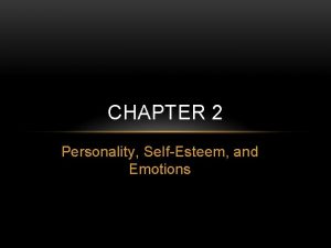 CHAPTER 2 Personality SelfEsteem and Emotions LESSON OBJECTIVES